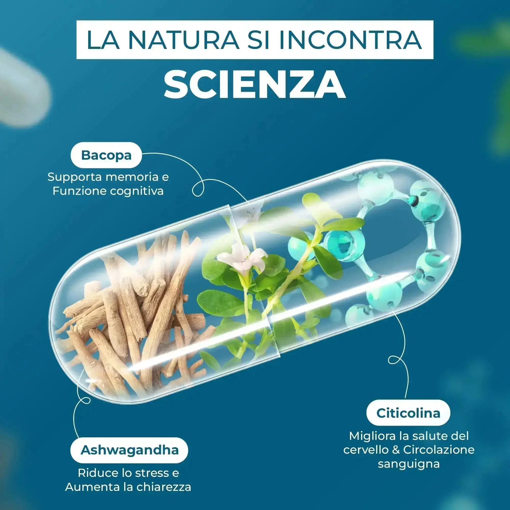 Immagine prodotto 3